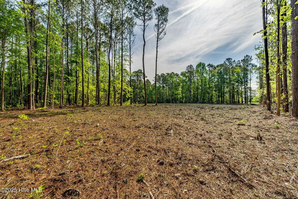 Photo of 216 Meadow Lane E, Hubert, NC 28539 (MLS # 100503919)