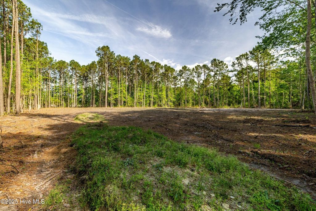 Photo of 216 Meadow Lane E, Hubert, NC 28539 (MLS # 100503919)