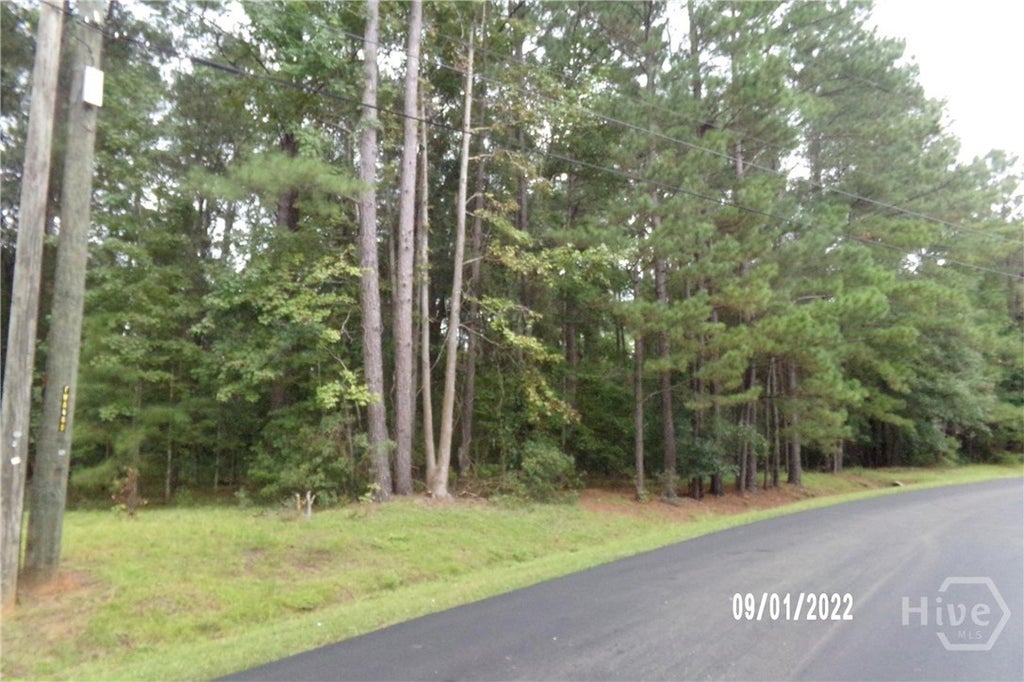 Photo of 1 Conaway Road, Bloomingdale, GA 31302 (MLS # SA364500)