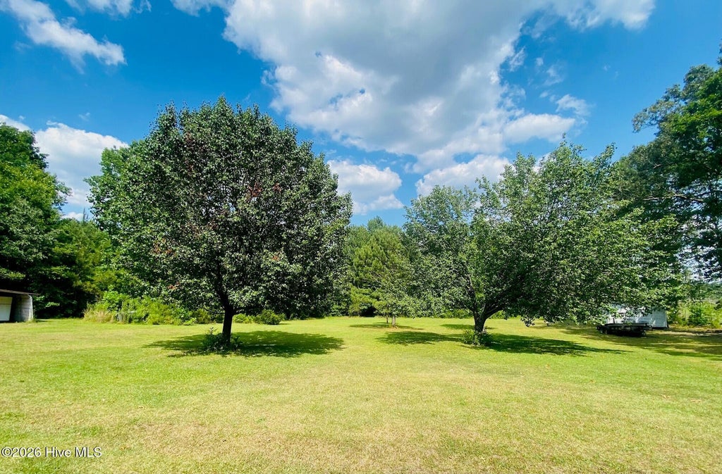 Photo of 2537 Alton Road, Eagle Springs, NC 27242 (MLS # 100585049)