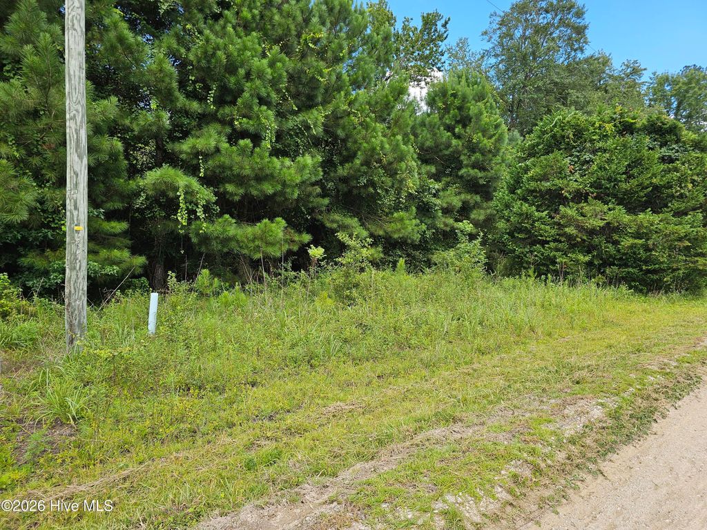 Photo of 8 Powell Lane, Loris, SC 29569 (MLS # 100559163)