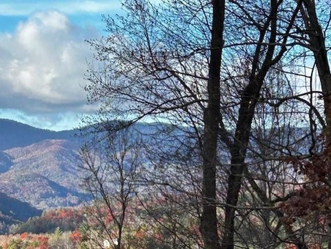 Vacant Land For Sale - TBD Upper Peachtree Road<br/> Murphy, NC 28906