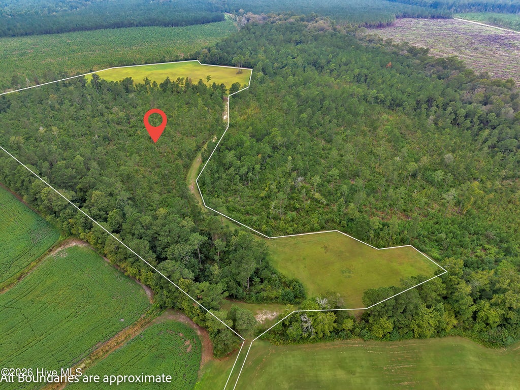 Photo of N/A Parkertown Road, Hubert, NC 28539 (MLS # 100604274)
