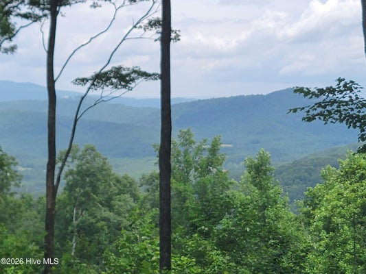 81 SCENIC DR, HAYESVILLE, NC 28904 - Image 2b2d4d3697caf7fc200bce98aade01ff/285848877