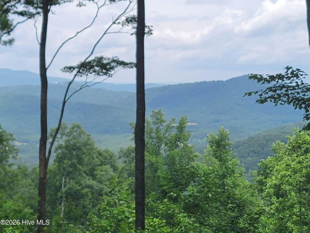 Photo of 81 Scenic Mountain Way, Murphy, NC 28906 (MLS # 100588246)