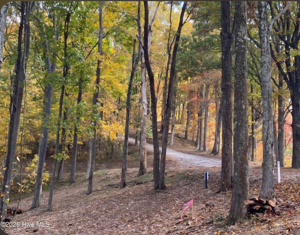 Photo of 81 Scenic Mountain Way, Murphy, NC 28906 (MLS # 100588246)