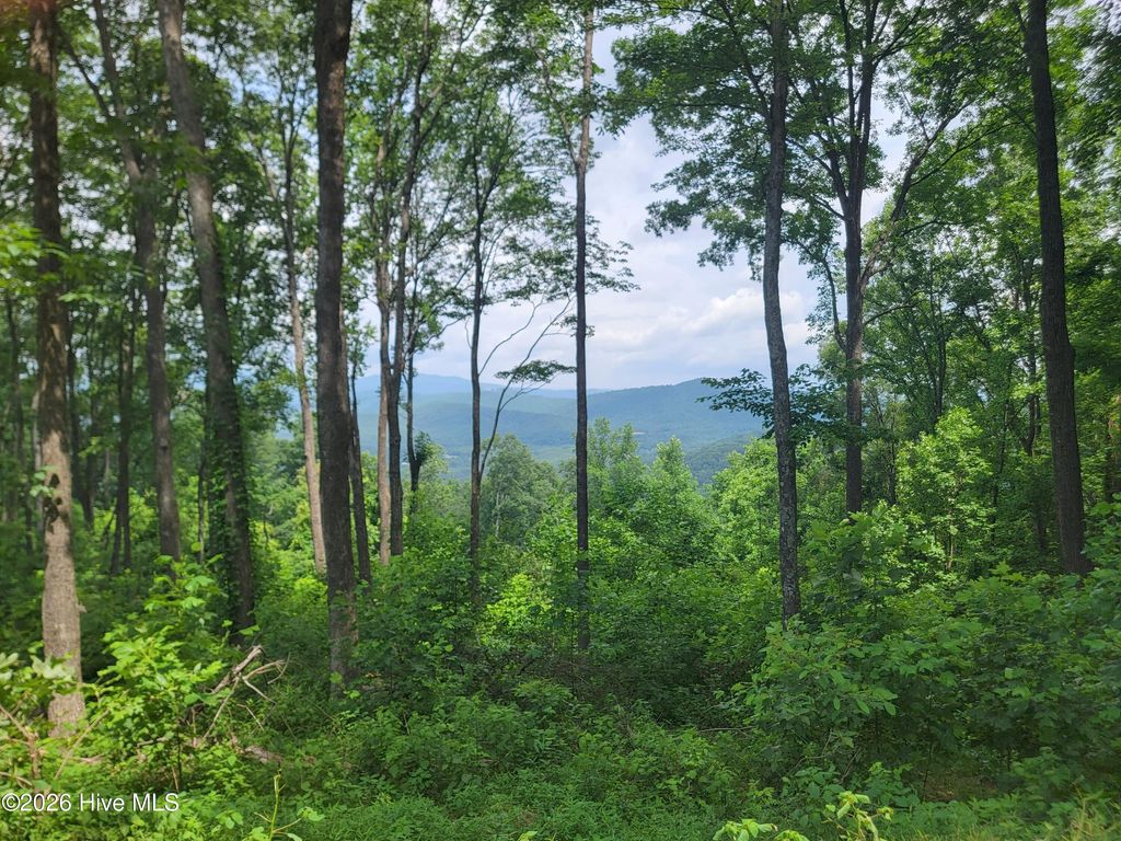 Photo of 81 Scenic Mountain Way, Murphy, NC 28906 (MLS # 100588246)