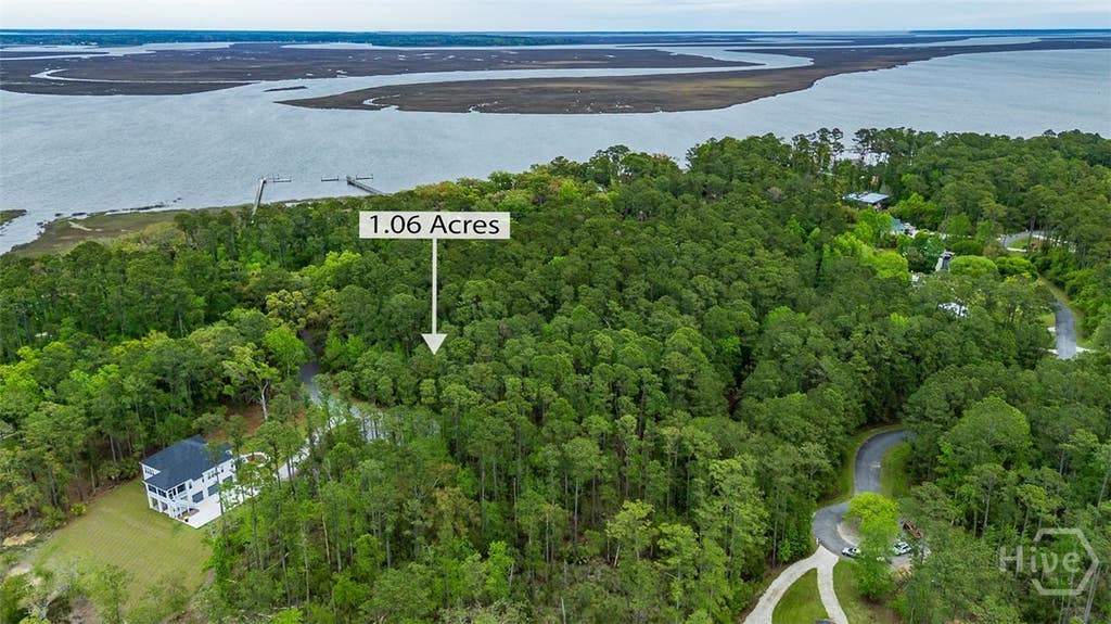 Photo of 216 Riverpoint Lane NE, Townsend, GA 31331 (MLS # SA363116)