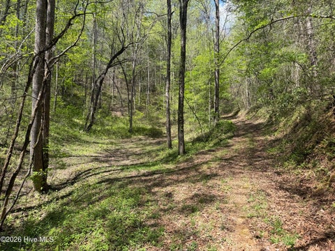 Vacant Land For Sale - 17.96 Lower Vengeance Creek Road<br/> Marble, NC 28905