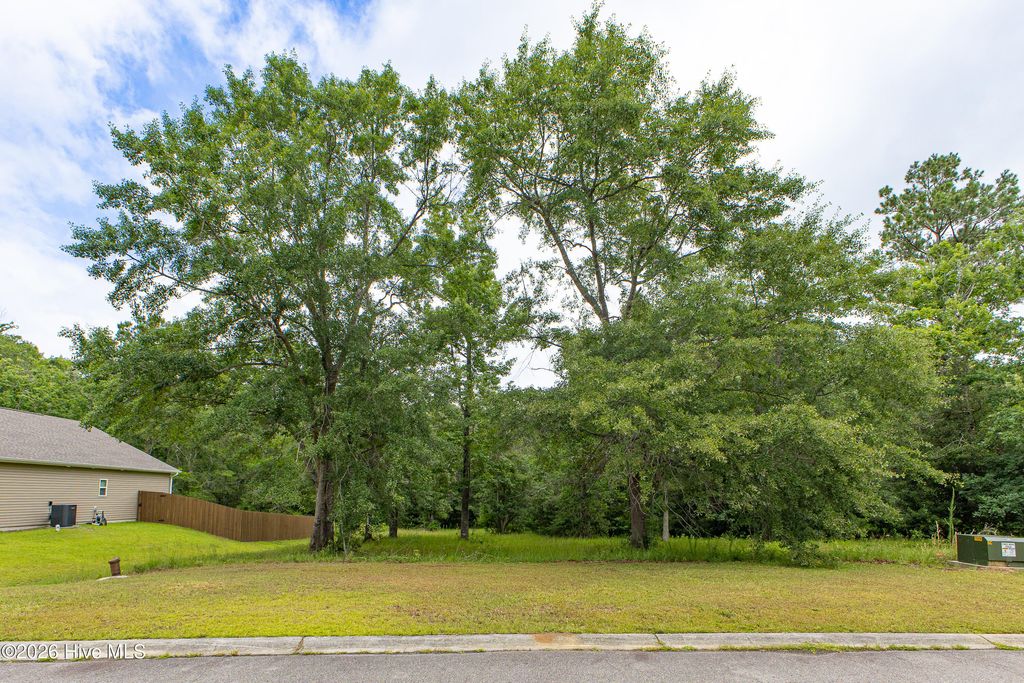 Photo of 529 N Wild Rice Drive SW, Supply, NC 28462 (MLS # 100582485)