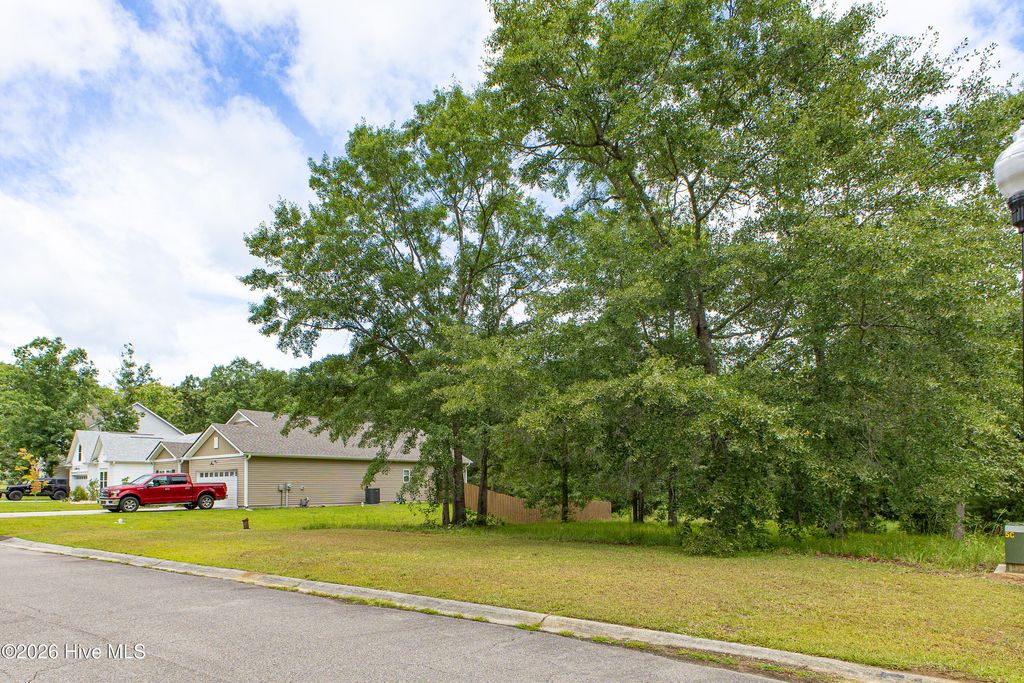 Photo of 529 N Wild Rice Drive SW, Supply, NC 28462 (MLS # 100582485)