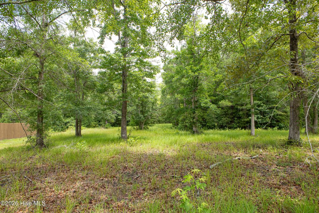 Photo of 529 N Wild Rice Drive SW, Supply, NC 28462 (MLS # 100582485)