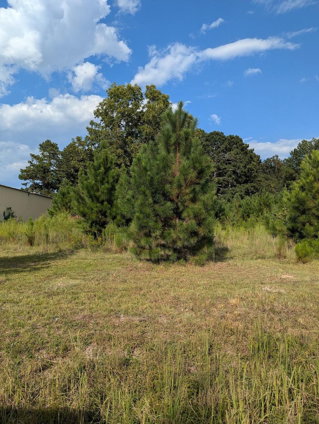 Photo of 1661 Nixon Road, Augusta, GA 30906 (MLS # 547483)