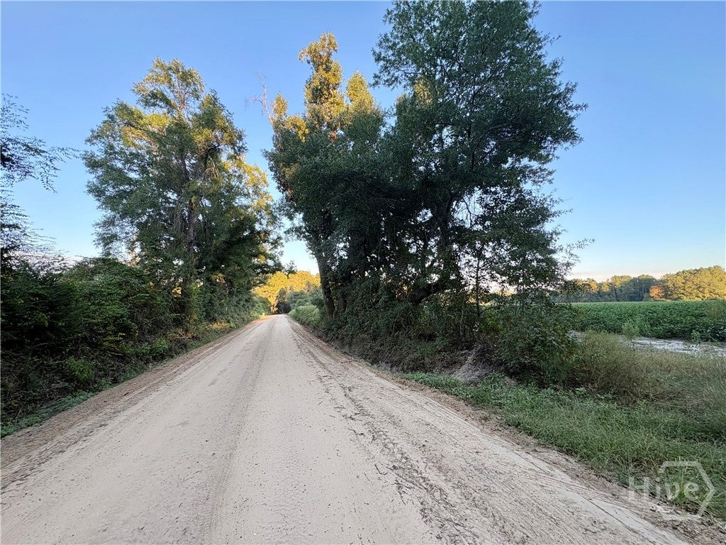 Photo of 0 Old Moore Road #4, Portal, GA 30450 (MLS # SA365588)