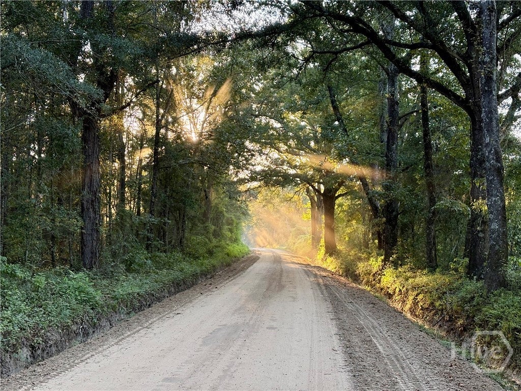 Photo of 0 Old Moore Road #4, Portal, GA 30450 (MLS # SA365588)