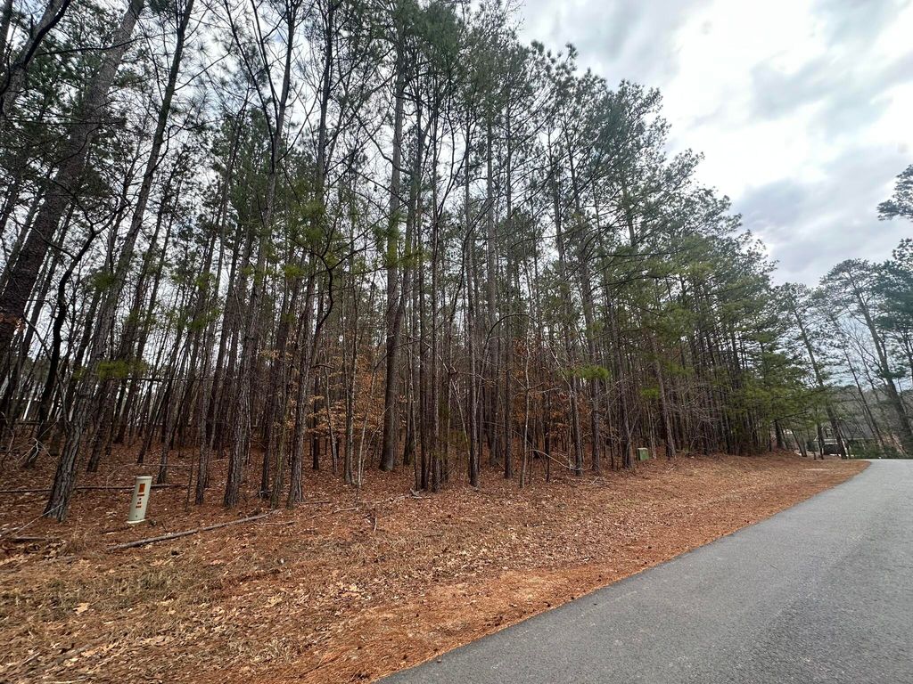 Photo of 1418 Candlewick Loop, McCormick, SC 29835 (MLS # 552312)