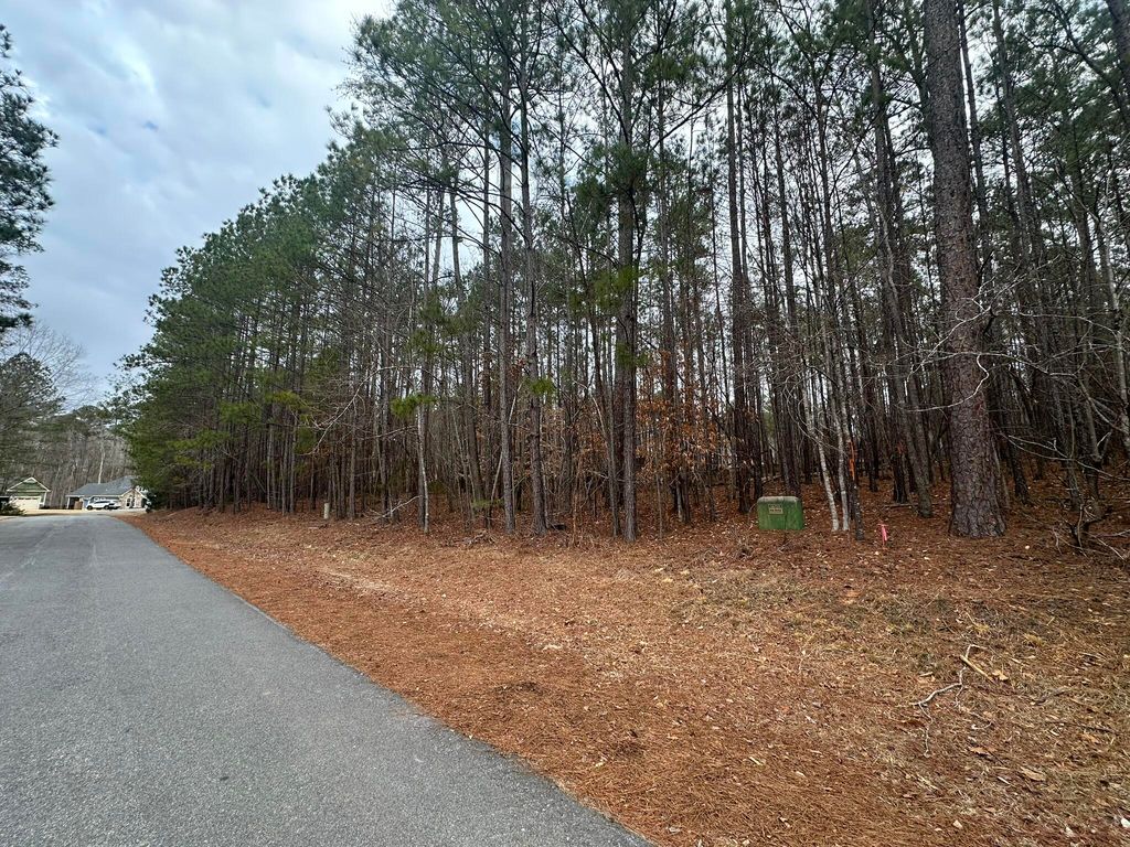 Photo of 1418 Candlewick Loop, McCormick, SC 29835 (MLS # 552312)