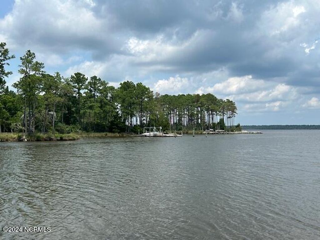 Photo of 1039 Pasture Point Road, Merritt, NC 28556 (MLS # 100459376)