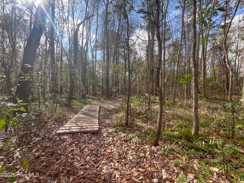 Tiny photo for 21900 Us Highway 17, Hampstead, NC 28443 (MLS # 100557904)