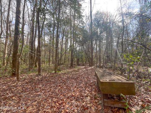 Tiny photo for 21900 Us Highway 17, Hampstead, NC 28443 (MLS # 100557904)
