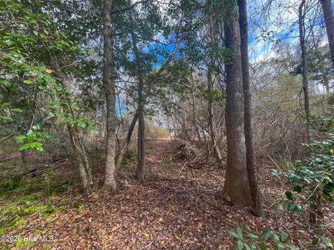 Tiny photo for 21900 Us Highway 17, Hampstead, NC 28443 (MLS # 100557904)