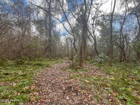 Tiny photo for 21900 Us Highway 17, Hampstead, NC 28443 (MLS # 100557904)