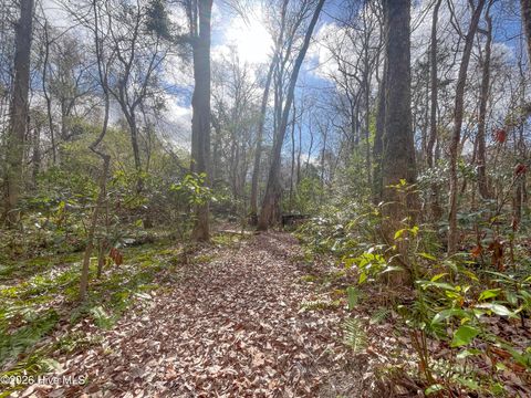 Tiny photo for 21900 Us Highway 17, Hampstead, NC 28443 (MLS # 100557904)