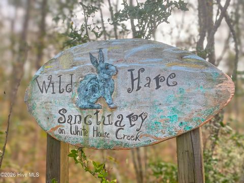 Tiny photo for 21900 Us Highway 17, Hampstead, NC 28443 (MLS # 100557904)