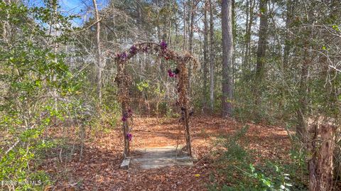 Tiny photo for 21900 Us Highway 17, Hampstead, NC 28443 (MLS # 100557904)