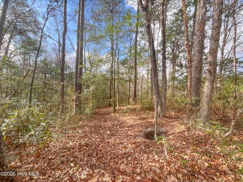 Tiny photo for 21900 Us Highway 17, Hampstead, NC 28443 (MLS # 100557904)