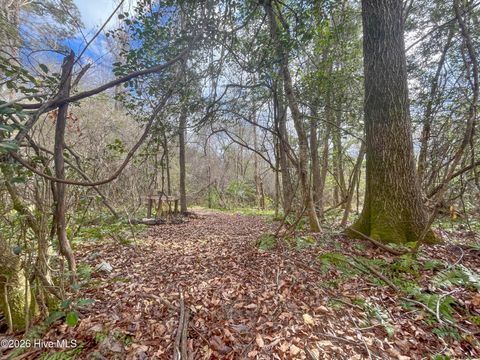 Tiny photo for 21900 Us Highway 17, Hampstead, NC 28443 (MLS # 100557904)