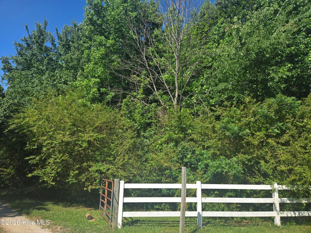 Photo of 1206 Willow Brook Road, Nashville, NC 27856 (MLS # 100575336)
