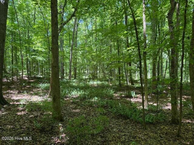 Photo of 0 Kendricks Mill Road, Crawfordville, GA 30631 (MLS # 100594763)