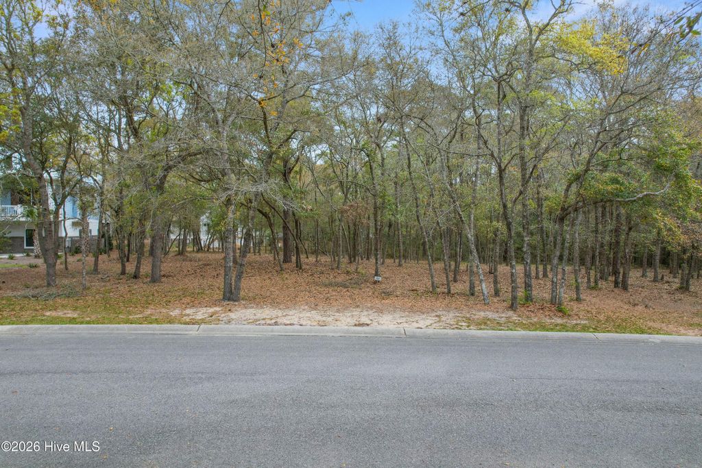 Photo of 3509 Concordia Avenue SW, Supply, NC 28462 (MLS # 100567626)