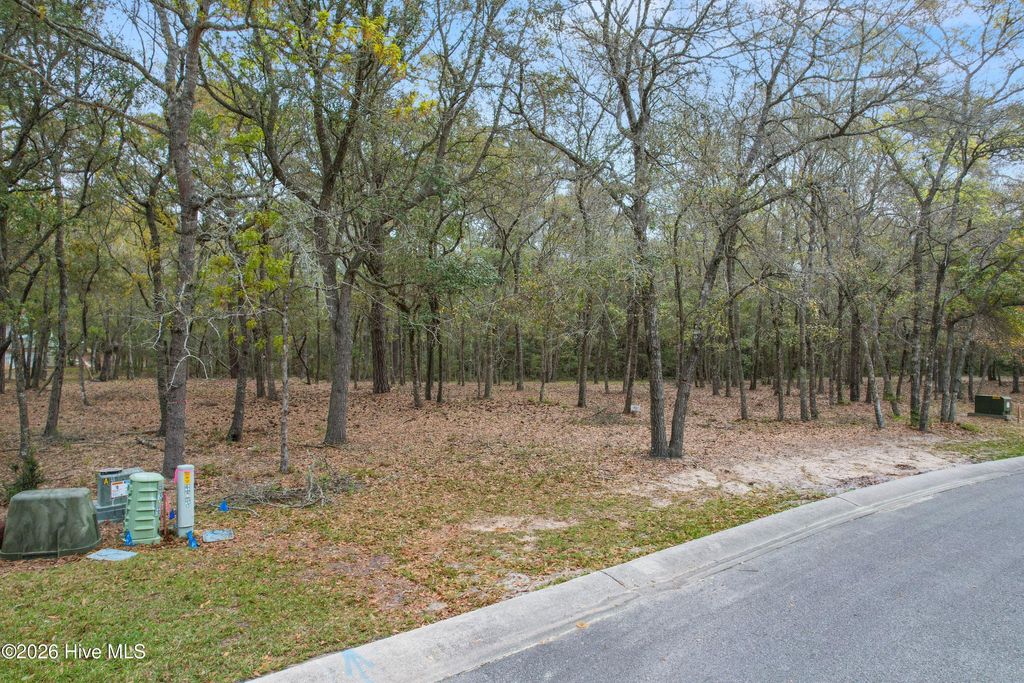 Photo of 3509 Concordia Avenue SW, Supply, NC 28462 (MLS # 100567626)