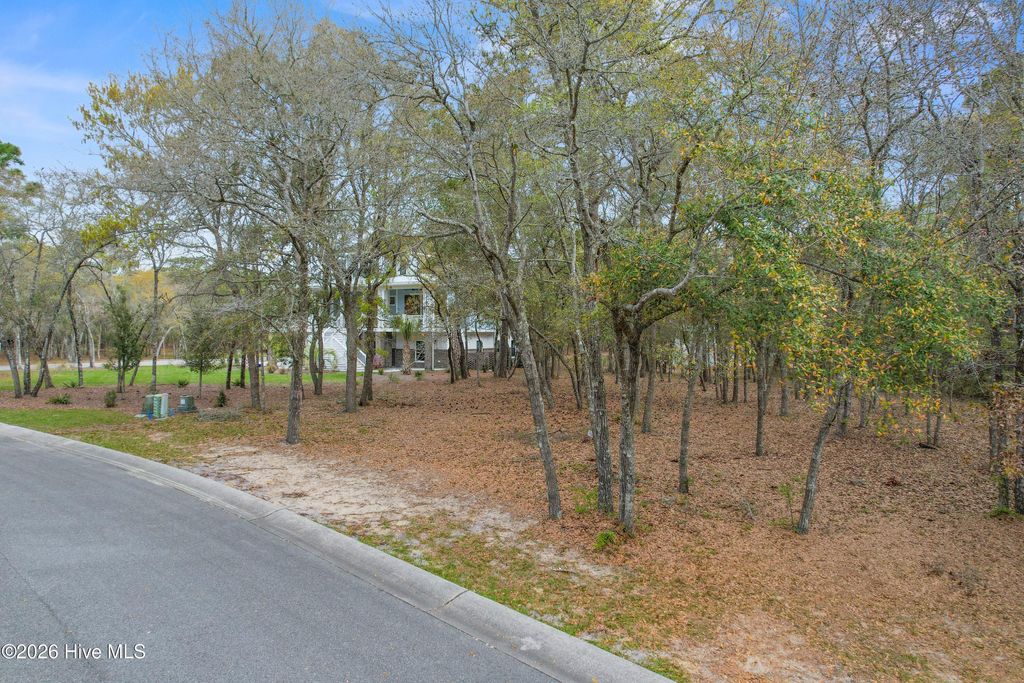 Photo of 3509 Concordia Avenue SW, Supply, NC 28462 (MLS # 100567626)