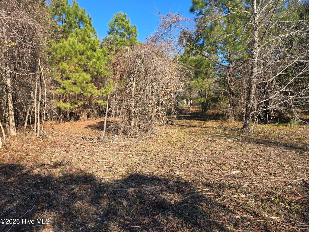 Photo of 203 Moores Landing Court, Hampstead, NC 28443 (MLS # 100548246)