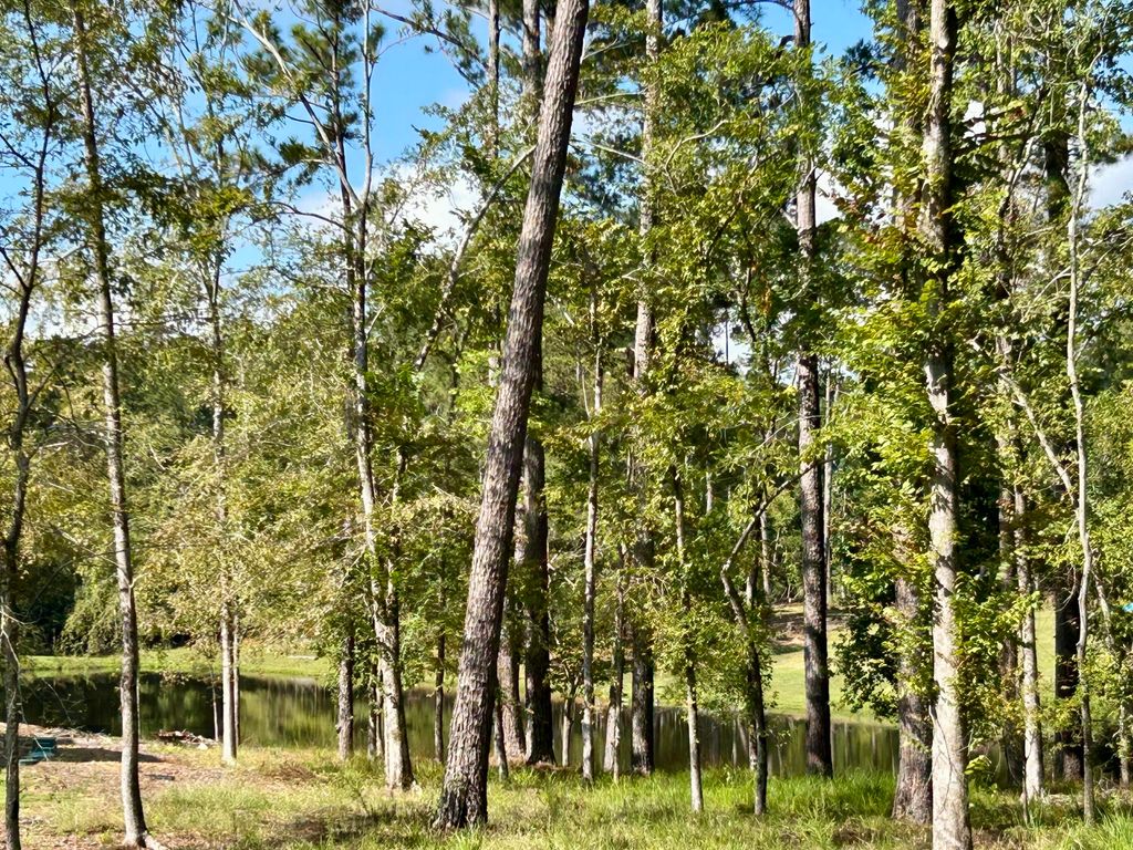 Photo of 385 Canterbury Drive, Evans, GA 30809 (MLS # 552608)