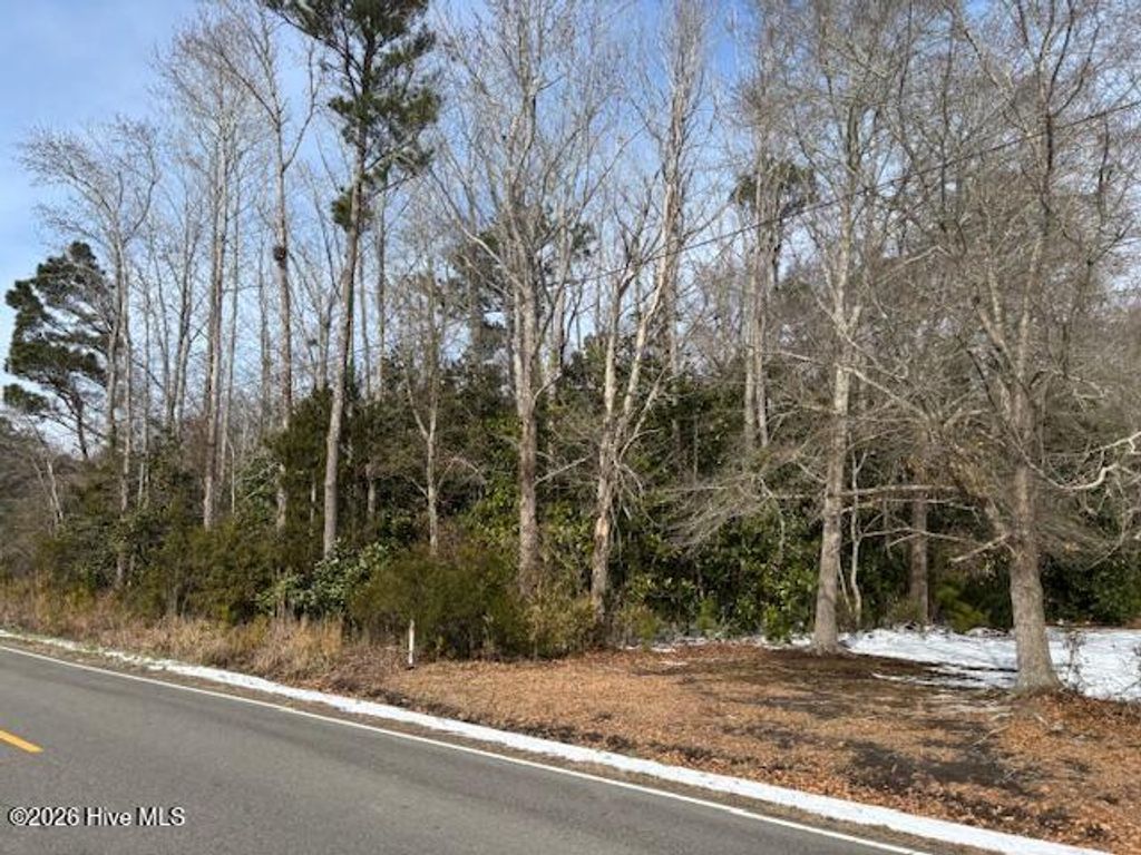 Photo of 225 Hermitage Road, Castle Hayne, NC 28429 (MLS # 100553653)