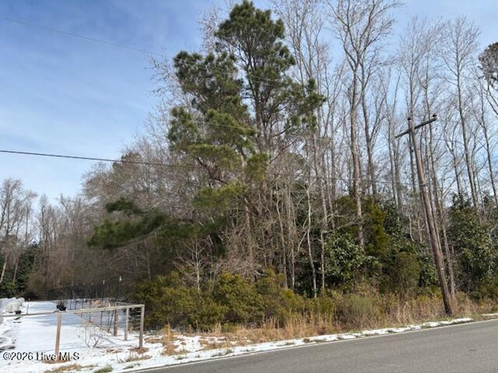 Photo of 225 Hermitage Road, Castle Hayne, NC 28429 (MLS # 100553653)