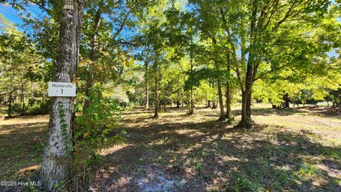 Vacant Land For Sale - 112 Sandy Point Drive<br/> Beaufort, NC 28516