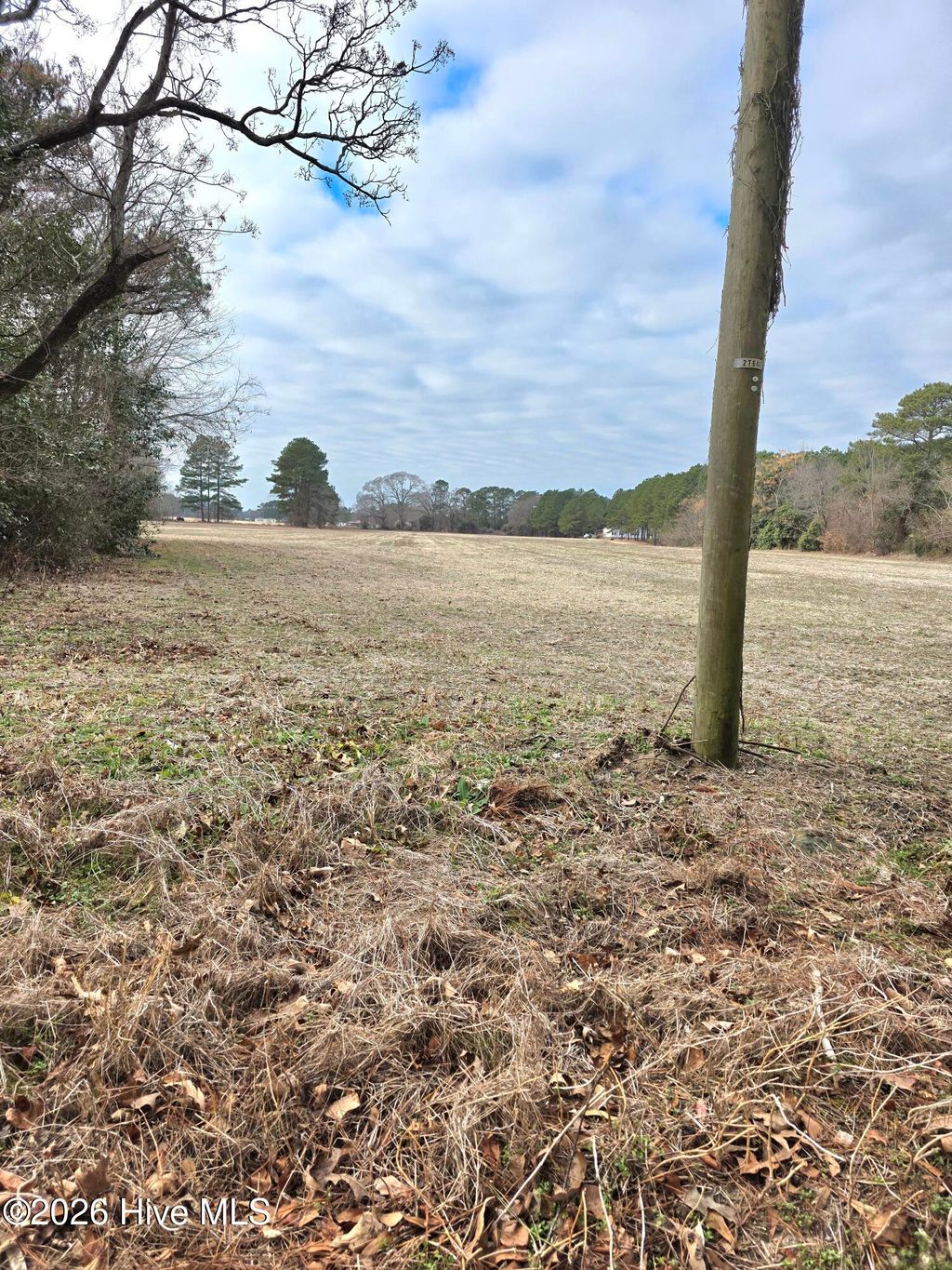 Photo of 0 Old Small Chapel Lane, Benson, NC 27504 (MLS # 100556012)