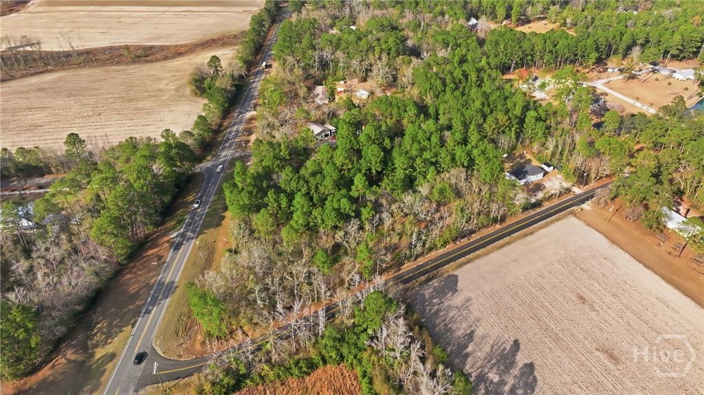 Photo of 0 Nellie Road, Rincon, GA 31326 (MLS # SA348322)