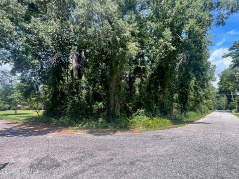 Vacant Land For Sale - LOT 110 Wildwood Road<br/> Columbus County, Whiteville, NC 28472
