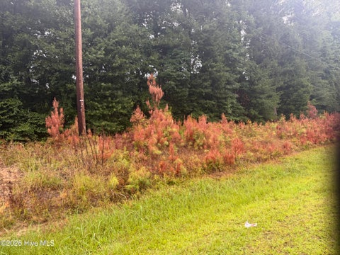 Tiny photo for 000 Richlands Highway, Jacksonville, NC 28540 (MLS # 100591364)