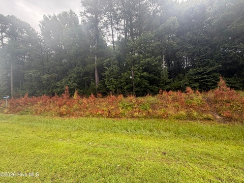 Tiny photo for 000 Richlands Highway, Jacksonville, NC 28540 (MLS # 100591364)
