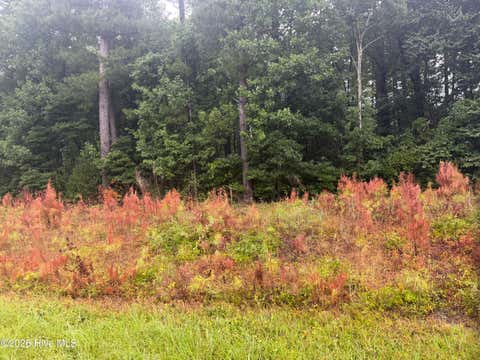 Tiny photo for 000 Richlands Highway, Jacksonville, NC 28540 (MLS # 100591364)