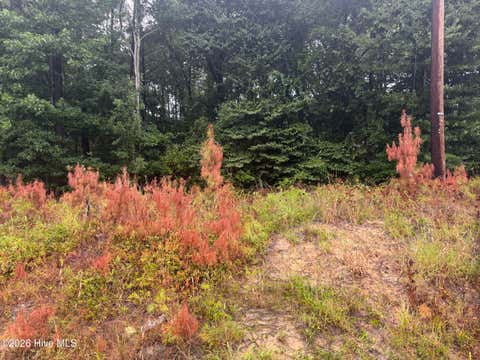 Tiny photo for 000 Richlands Highway, Jacksonville, NC 28540 (MLS # 100591364)