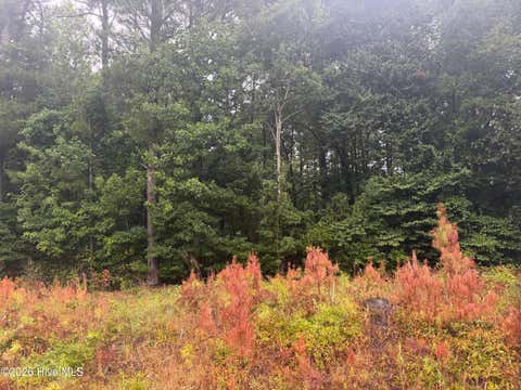Tiny photo for 000 Richlands Highway, Jacksonville, NC 28540 (MLS # 100591364)