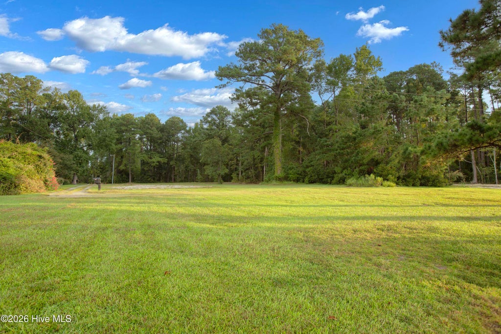 Photo of 310 Myrtlewood Lane, Bayboro, NC 28515 (MLS # 100603351)